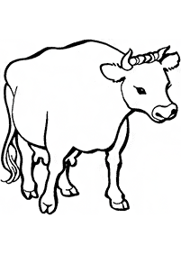 牛の塗り絵 - 37
