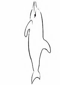Malowanki z delfinami – strona 60