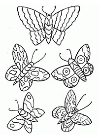 Kolorowanki z motylami – strona 35
