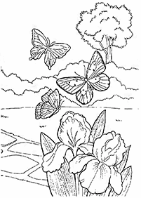 Kolorowanki z motylami – strona 68