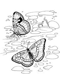 Kolorowanki z motylami – strona 69