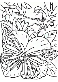 Kolorowanki z motylami – strona 85