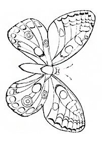 Kolorowanki z motylami – strona 92
