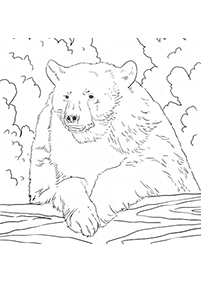 Kolorowanki z niedźwiedziami – strona 37