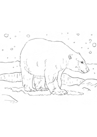 Kolorowanki z niedźwiedziami – strona 53