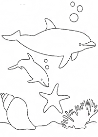Desenhos de golfinhos para colorir – Página de colorir 24