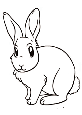 desenhos para colorir de coelhos