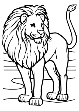 desenhos para colorir de leões