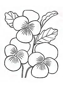 Desenhos de flores para colorir - Página de colorir 115