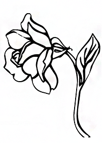 Desenhos de flores para colorir - Página de colorir 117