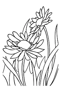 Desenhos de flores para colorir - Página de colorir 12