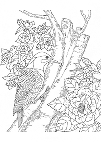 Desenhos de flores para colorir - Página de colorir 21
