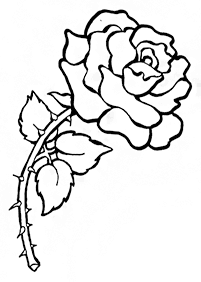 Desenhos de flores para colorir - Página de colorir 26