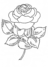 Desenhos de flores para colorir - Página de colorir 30