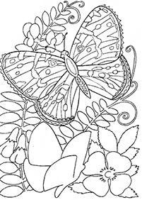 Desenhos de flores para colorir - Página de colorir 41