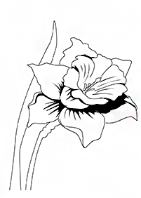 Desenhos de flores para colorir - Página de colorir 43