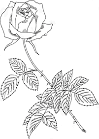 Desenhos de flores para colorir - Página de colorir 46