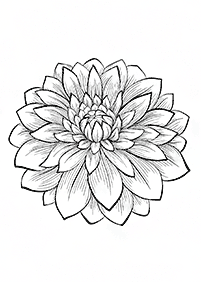 Desenhos de flores para colorir - Página de colorir 47