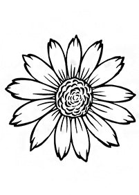 Desenhos de flores para colorir - Página de colorir 62