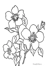 Desenhos de flores para colorir - Página de colorir 72