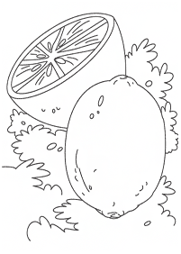 Desenhos de frutas para colorir - Página de colorir 40