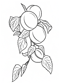 Desenhos de frutas para colorir - Página de colorir 42