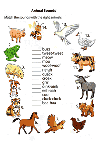 english words - worksheet 332