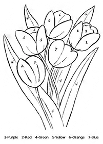 color by numbers - coloring page 51