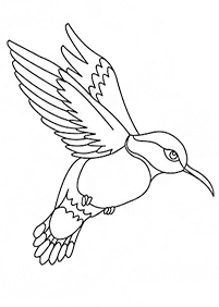صفحات تلوين طيور – الصفحة 101