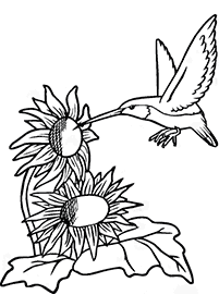 bird coloring pages - page 41