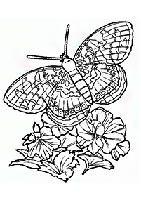 butterfly coloring pages - Page 23