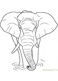 elephant coloring pages - Page 26