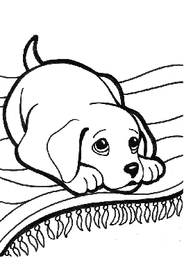 coloring pages (dogs)