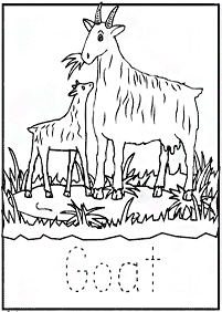 Englische Arbeitsblätter - Arbeitsblatt 293