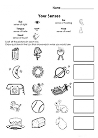 Kindergarten Arbeitsblätter - Arbeitsblatt 229