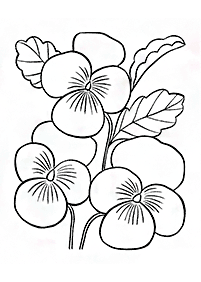 Blumen Malvorlagen - Seite 115