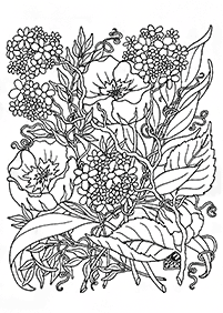 Blumen Malvorlagen - Seite 132