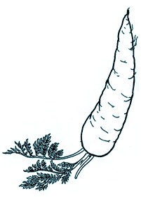 Gemüse Malvorlagen - Seite 6