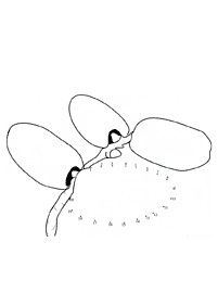 Obst Malvorlagen - Seite 102