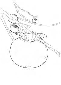 Obst Malvorlagen - Seite 55