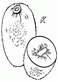 Obst Malvorlagen - Seite 68