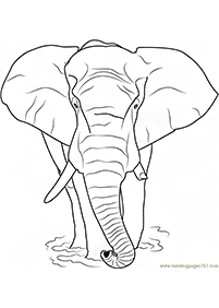 Elefanten Malvorlagen - Seite 26
