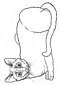 Katzen Malvorlagen - Seite 85