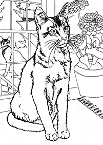 Katzen Malvorlagen - Seite 86