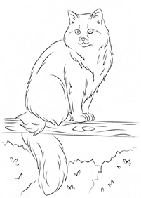 Katzen Malvorlagen - Seite 9