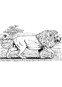 Löwen Malvorlagen - Seite 53