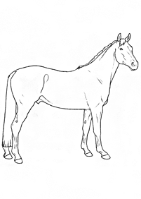 Pferde Malvorlagen - Seite 48