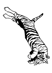 Tiger Malvorlagen - Seite 51