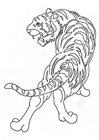 Tiger Malvorlagen - Seite 64