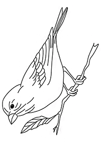 Vögel Malvorlagen - Seite 11